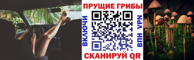 Псилоцибиновые грибы MAGIC MUSHROOMS Стерлитамак